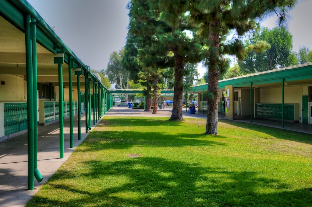 Residential & Commercial