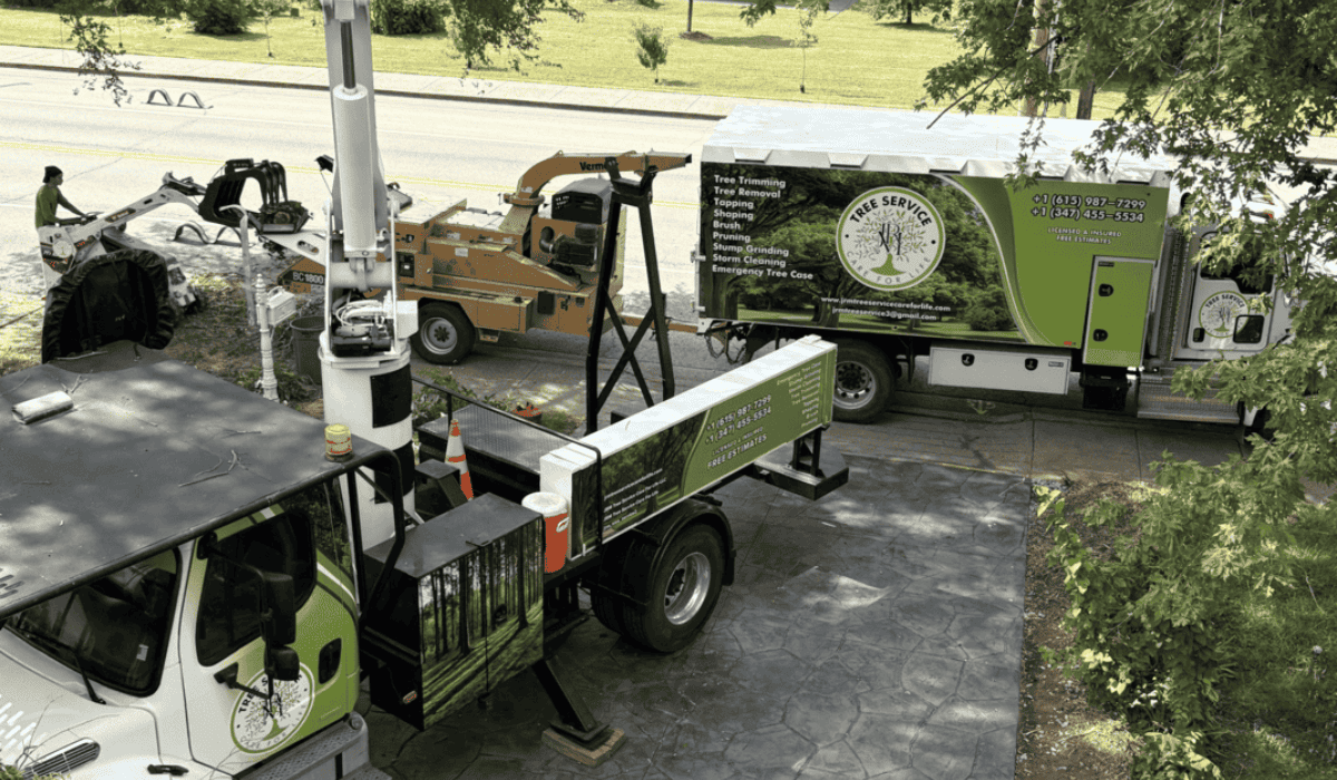 Emergency Tree Service