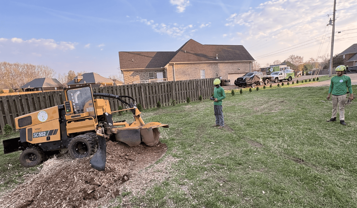 Land Clearing